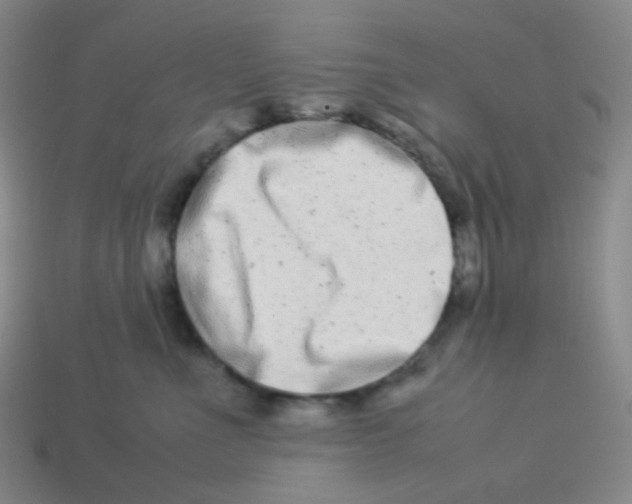 X0000113260523200910081342