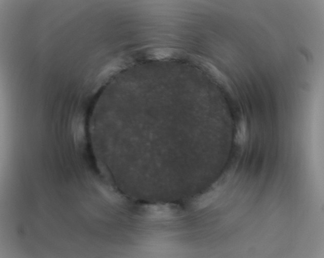 X0000113260524200910081342