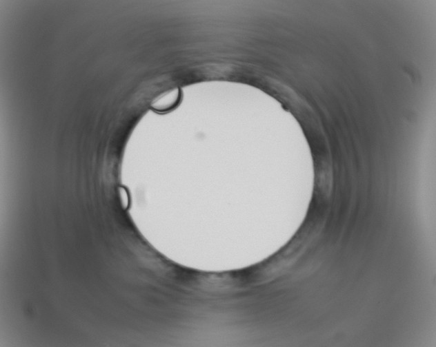 X0000113260525200910081342