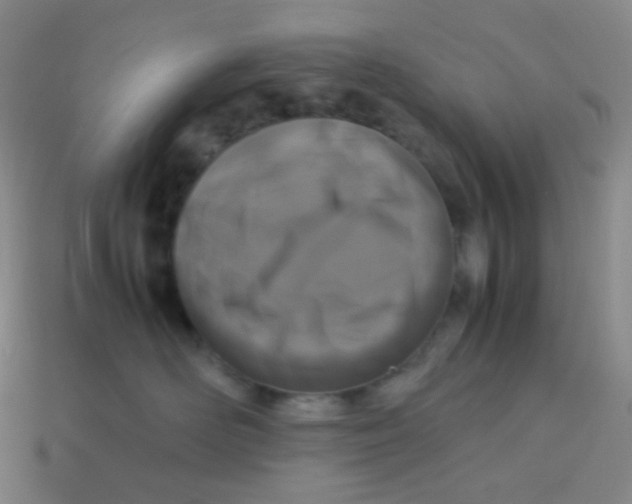 X0000113260526200910081342