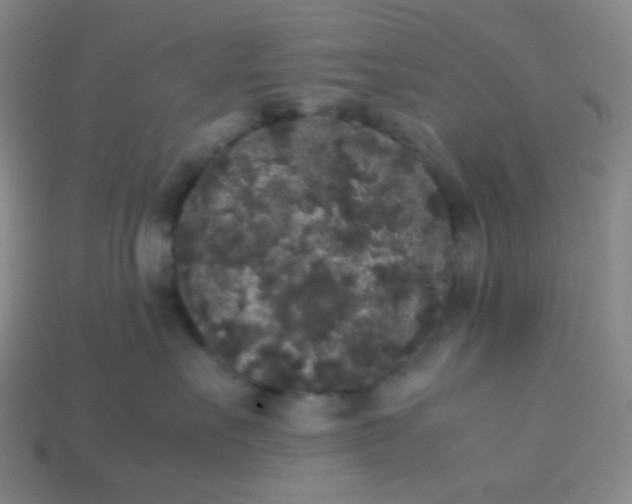 X0000113260527200910081342