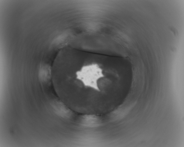 X0000113260528200910081342