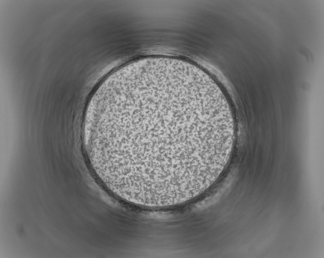 X0000113260529200910081341