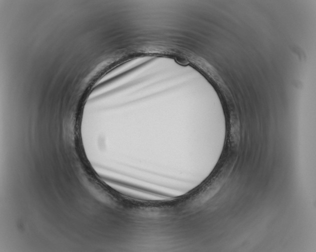 X0000113260530200910081341