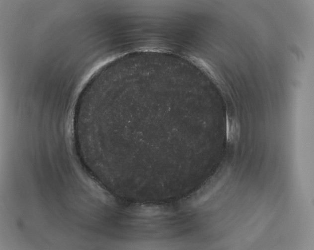 X0000113260531200910081341