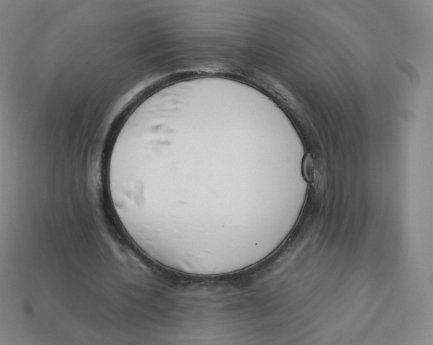 X0000113260532200910081341