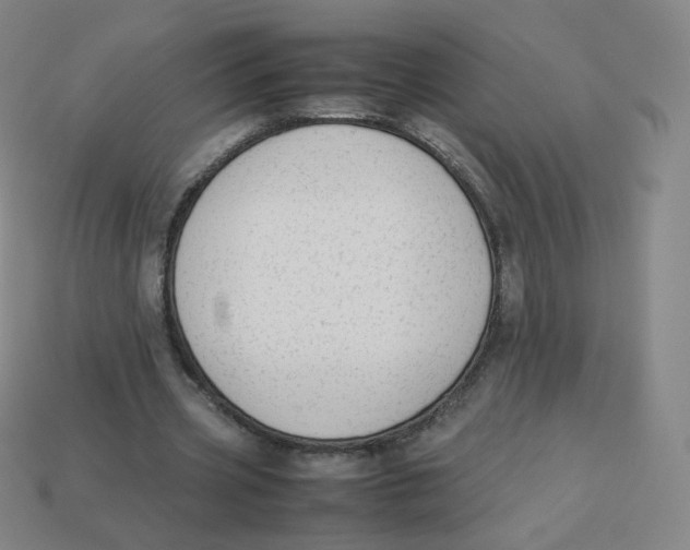 X0000113260533200910081341
