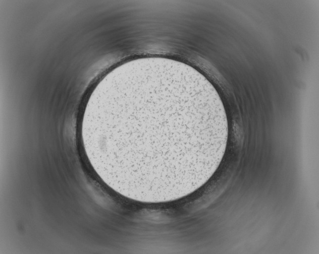 X0000113260534200910081341