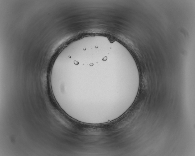 X0000113260535200910081341