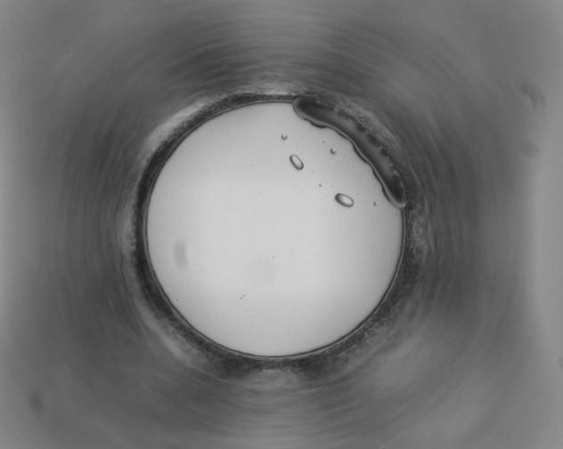 X0000113260536200910081341