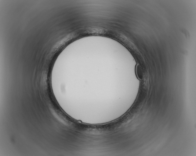 X0000113260538200910081341