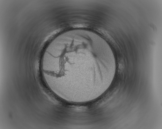 X0000113260539200910081341