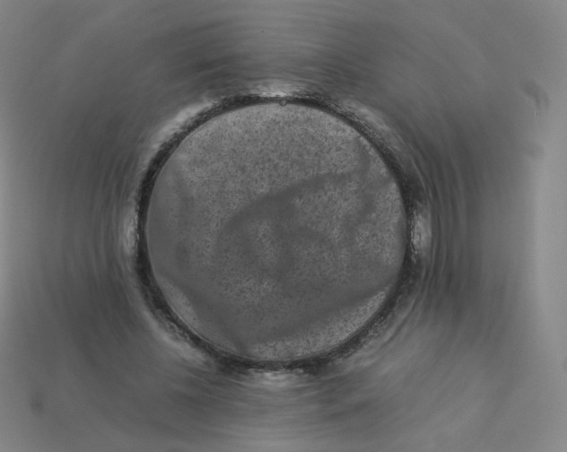 X0000113260540200910081341
