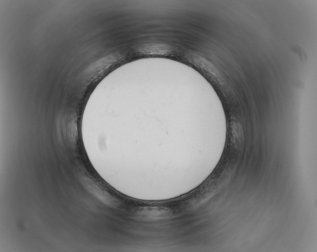 X0000113260541200910081341