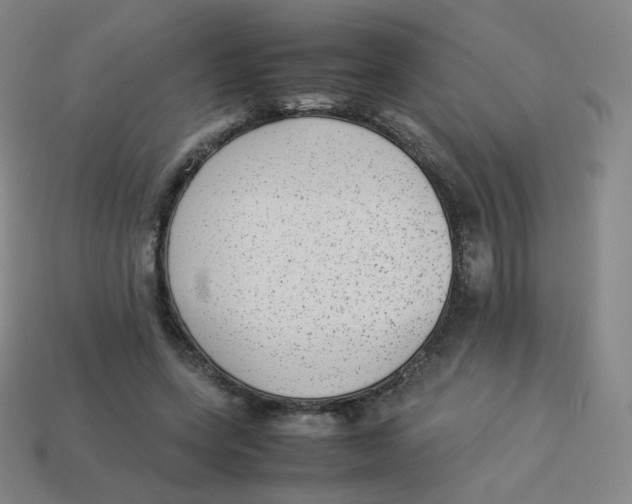 X0000113260543200910081341