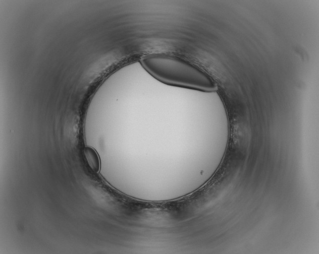 X0000113260544200910081341