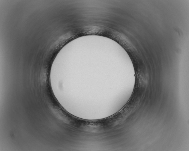 X0000113260546200910081341