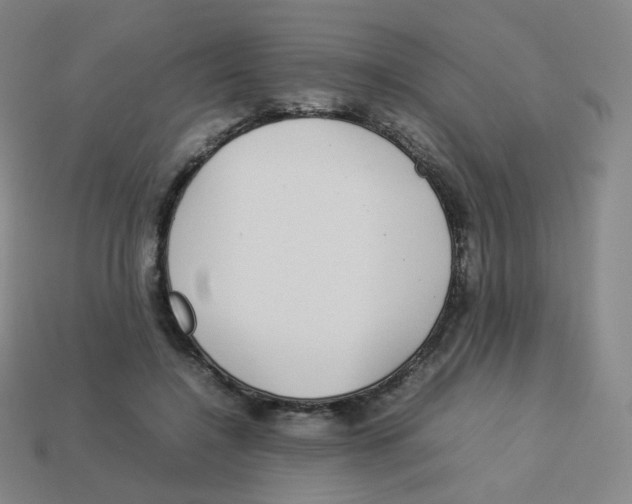 X0000113260548200910081341