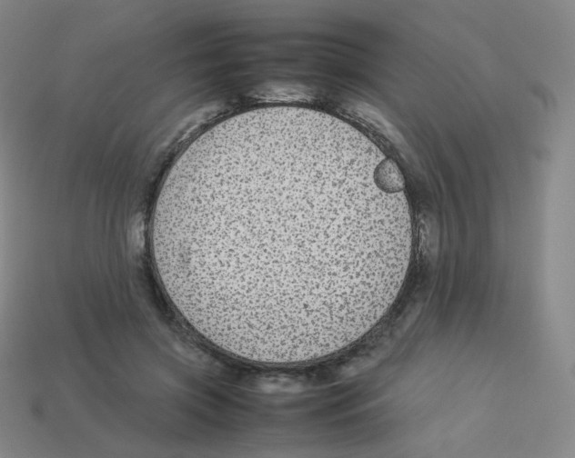 X0000113260549200910081341