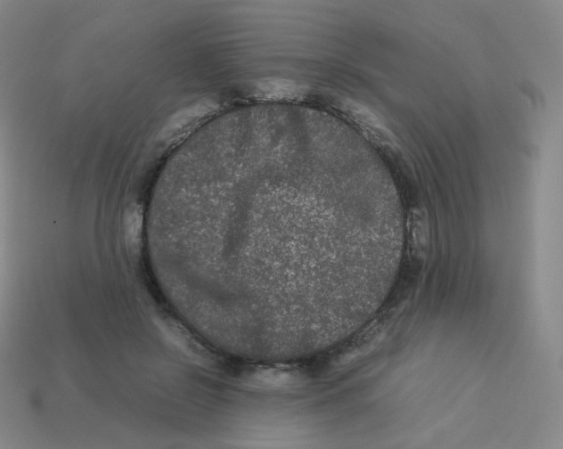 X0000113260550200910081341