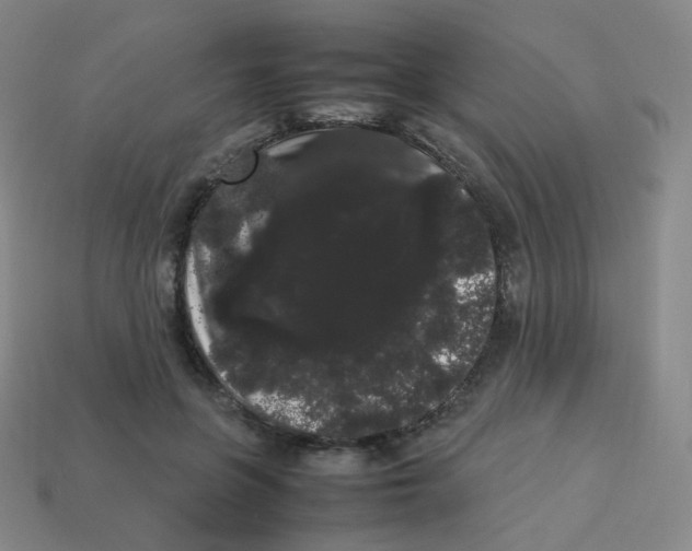 X0000113260551200910081341