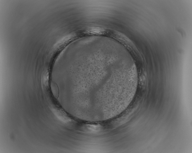 X0000113260552200910081341