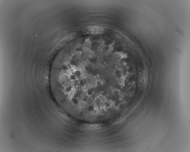 X0000113260553200910081341