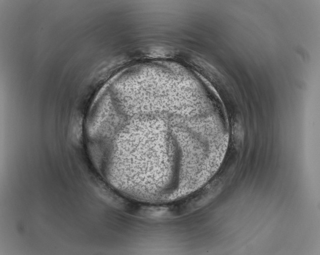 X0000113260554200910081341