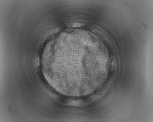 X0000113260555200910081341