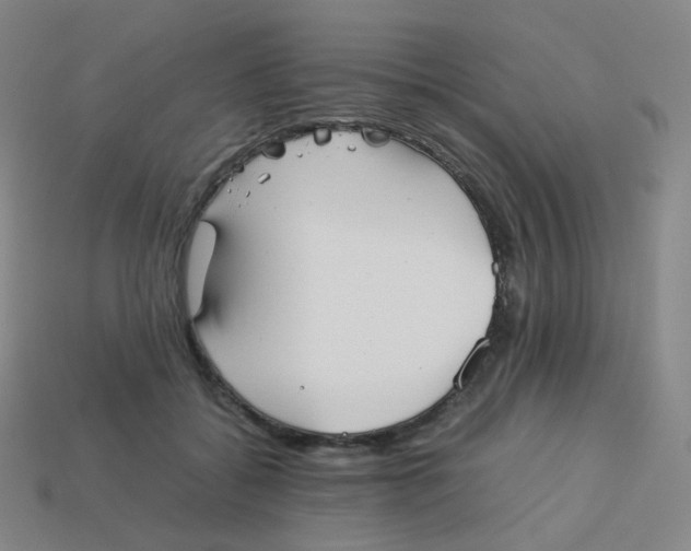 X0000113260556200910081341