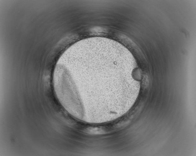 X0000113260557200910081341