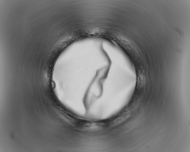 X0000113260558200910081341