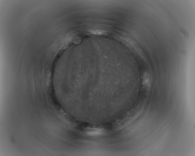 X0000113260559200910081341