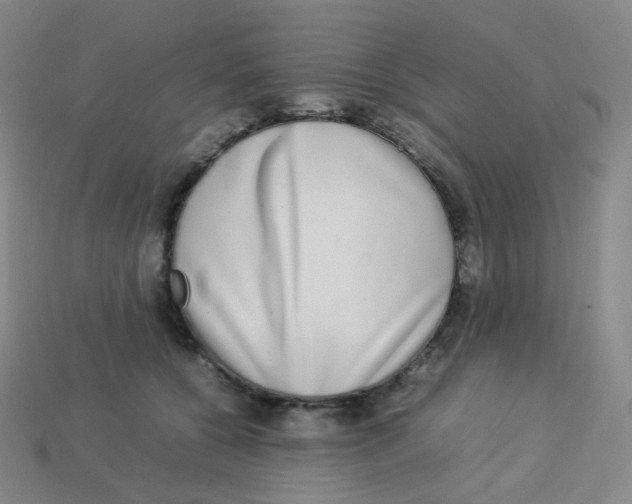 X0000113260560200910081341