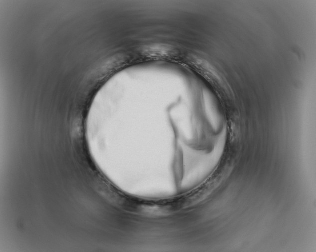 X0000113260561200910081341