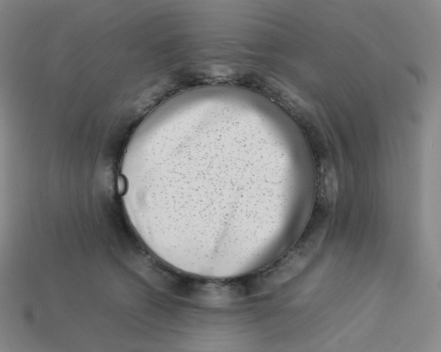 X0000113260562200910081341