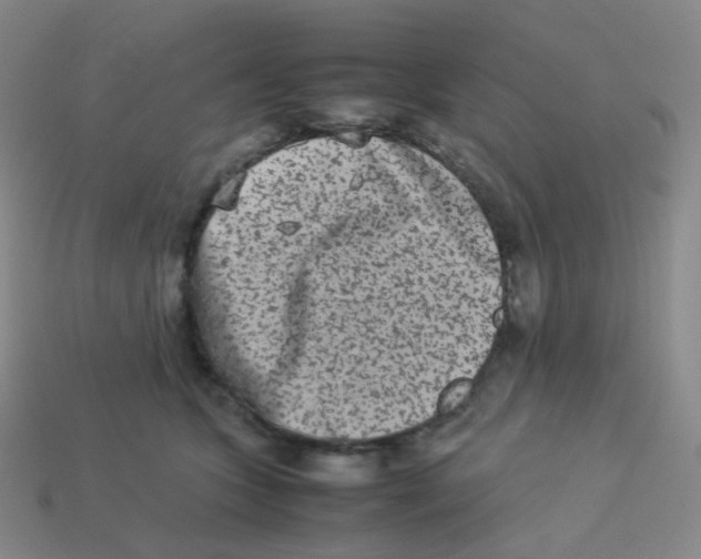 X0000113260563200910081341