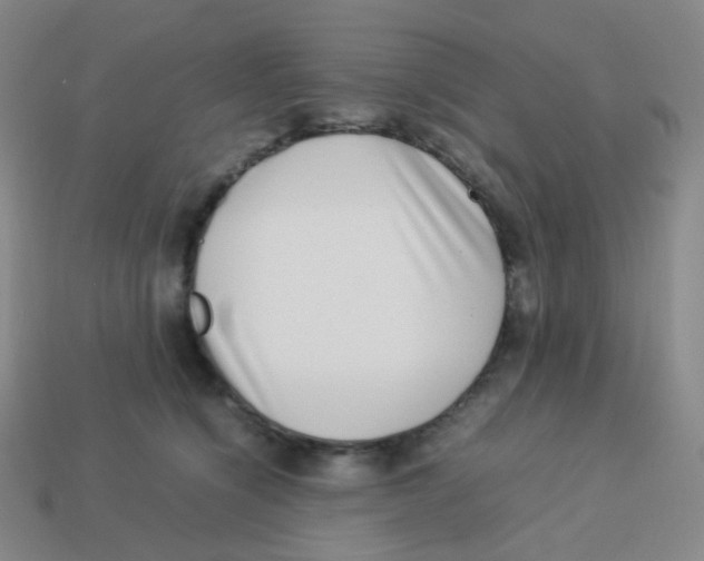 X0000113260564200910081341