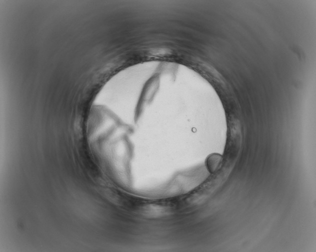 X0000113260565200910081341