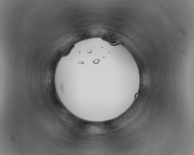 X0000113260567200910081341