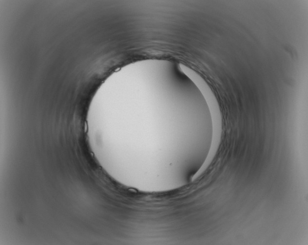 X0000113260568200910081341