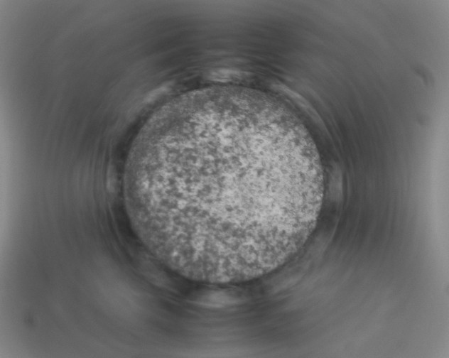 X0000113260569200910081341