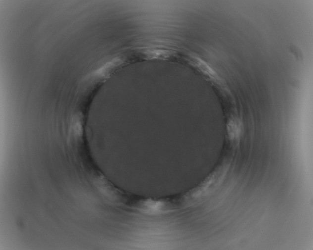 X0000113260570200910081341