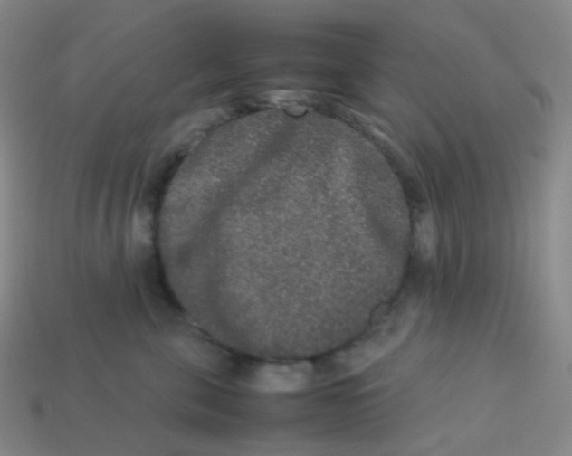 X0000113260571200910081341