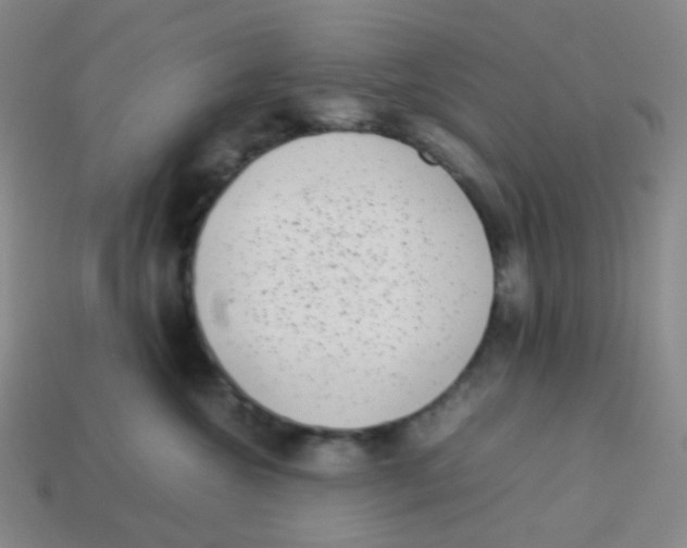 X0000113260572200910081341