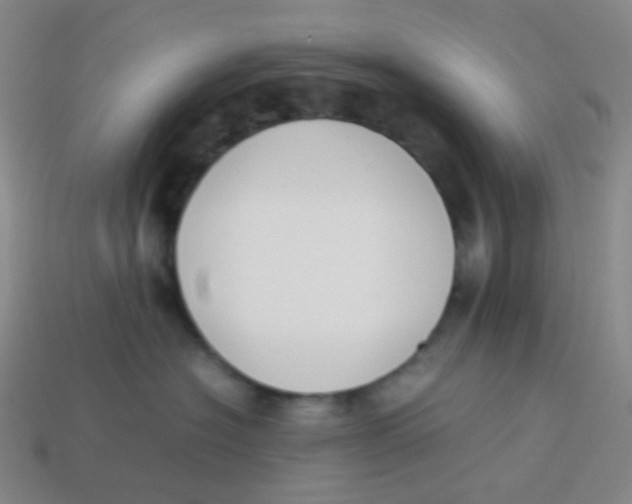 X0000113260574200910081342