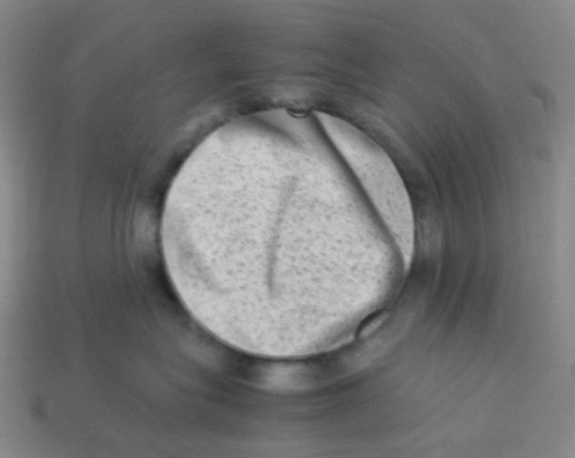 X0000113260575200910081342
