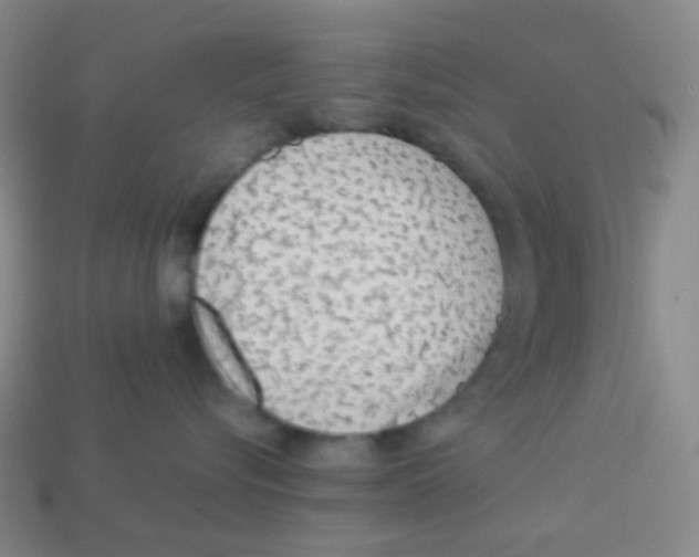 X0000113260576200910081342
