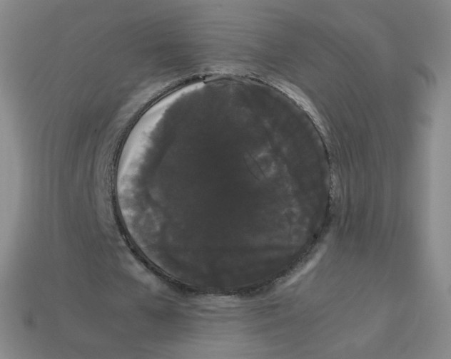 X0000113260577200910081341