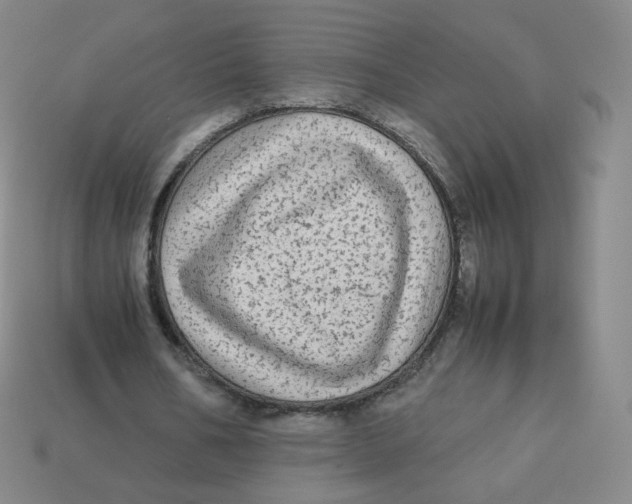 X0000113260578200910081341